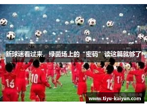 新球迷看过来，绿茵场上的“密码”读这篇就够了